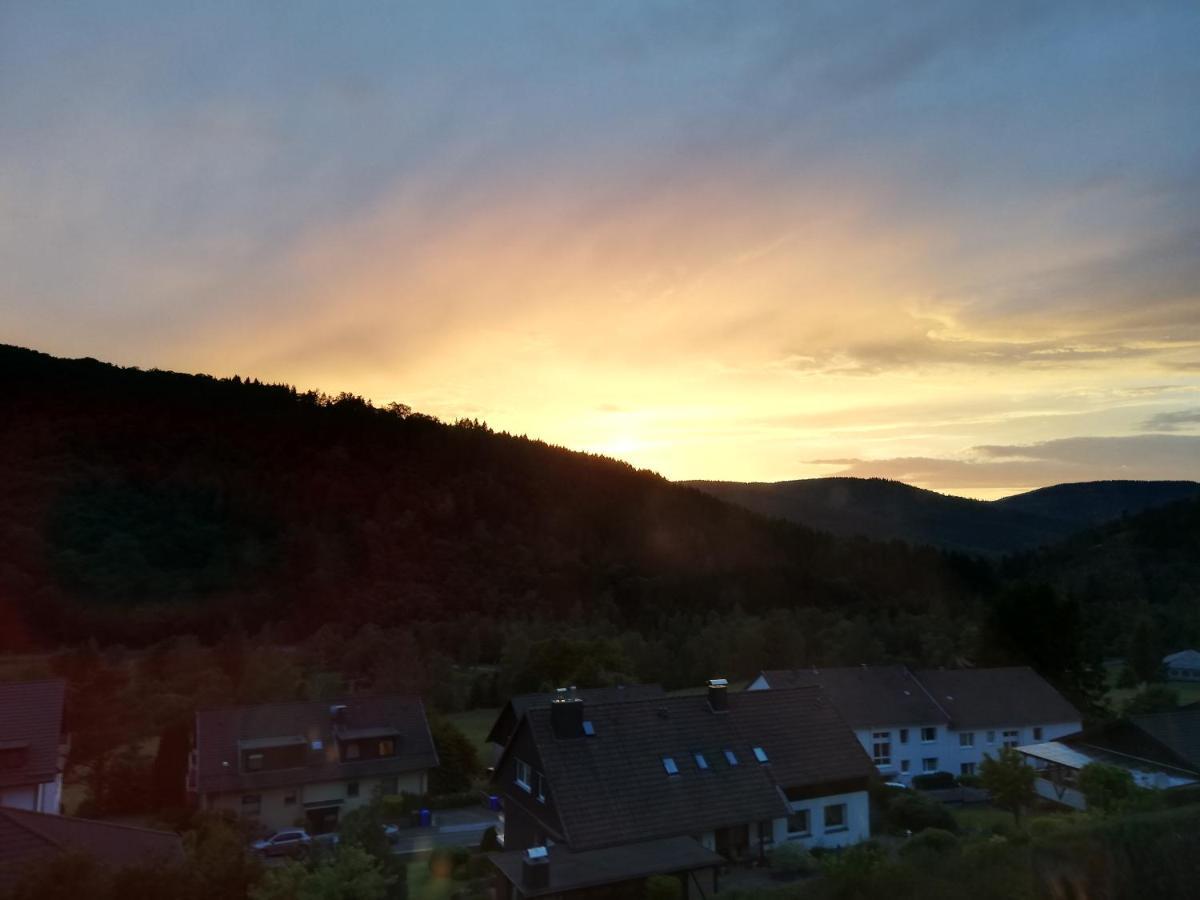 Hills Hut Villa Langelsheim Eksteriør billede