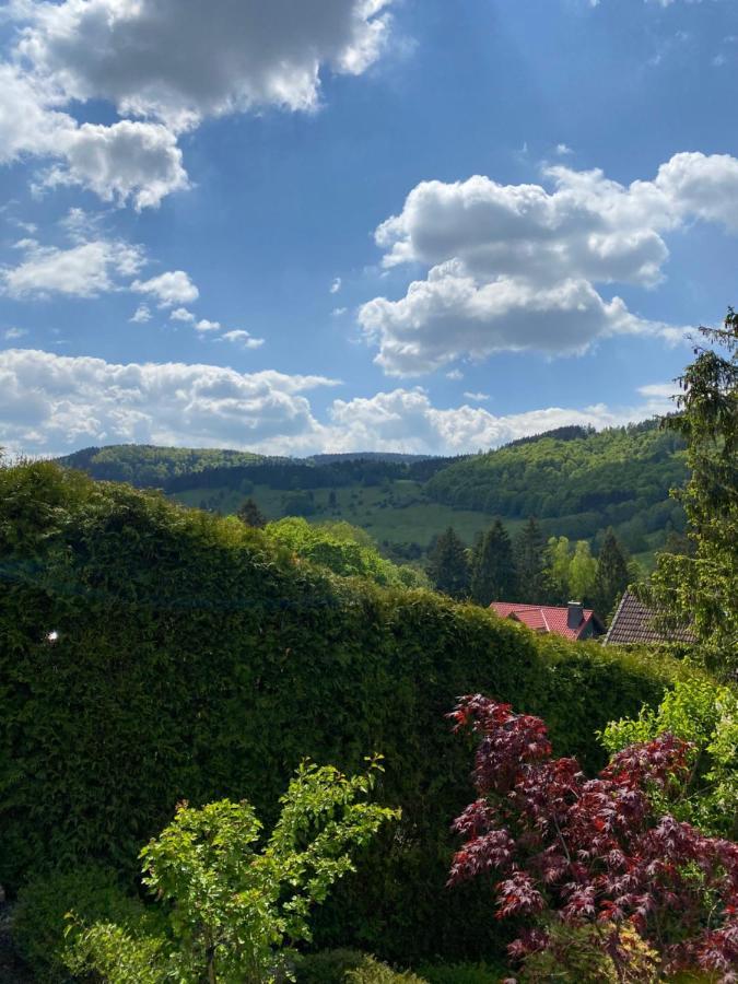 Hills Hut Villa Langelsheim Eksteriør billede